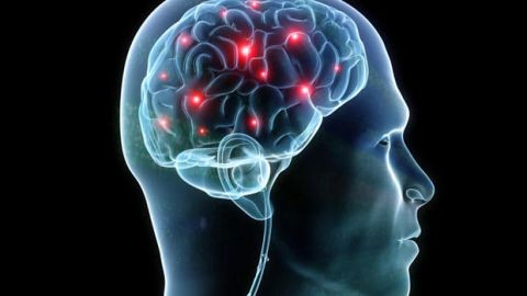 Synapse in brain homepage